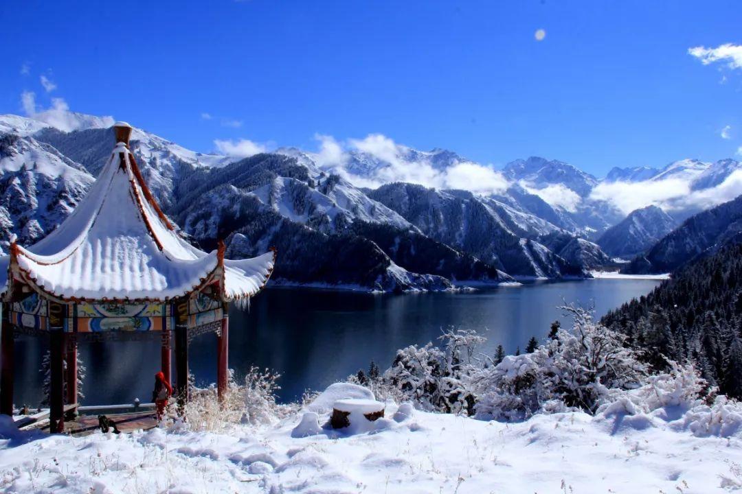 应届生若是错过秋招会有多难受?-专业的知识问答网页